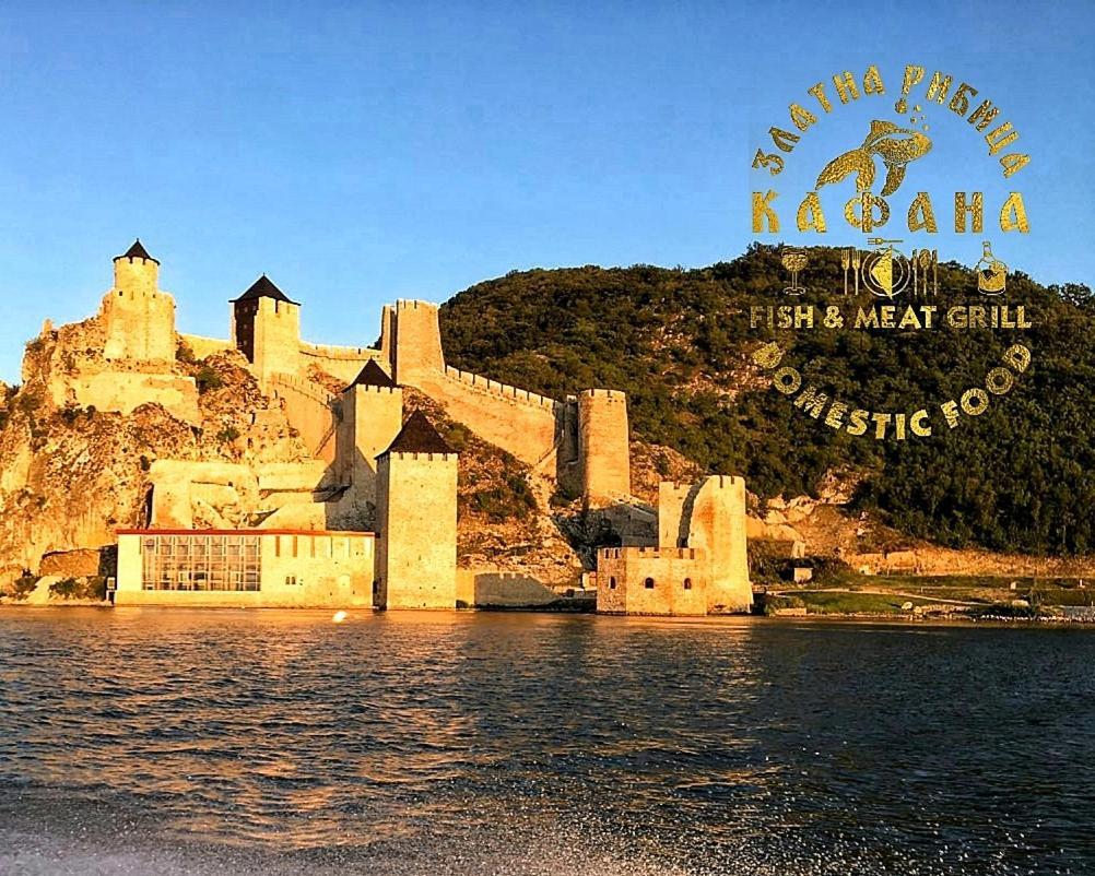 Zlatna Ribica Lejlighed Golubac Eksteriør billede
