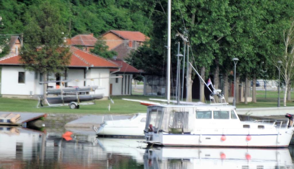Zlatna Ribica Lejlighed Golubac Eksteriør billede